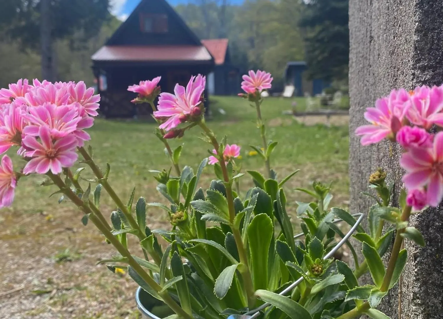 Chalet Villa Puhova Koliba à Delnice