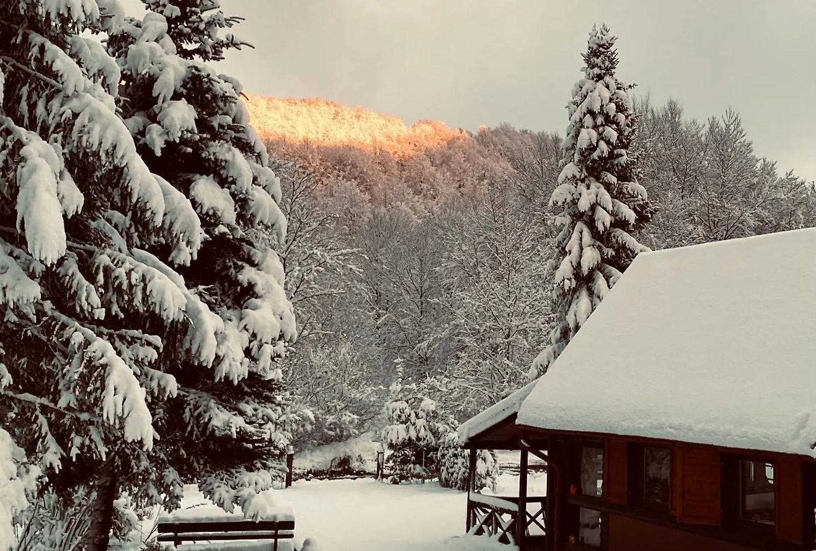 Puhova Koliba Villa Delnice Chalet