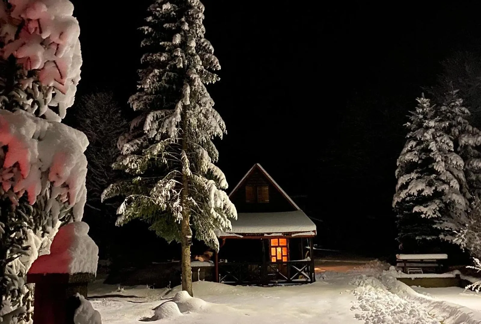 Chalet Puhova Koliba Villa Delnice Croatia
